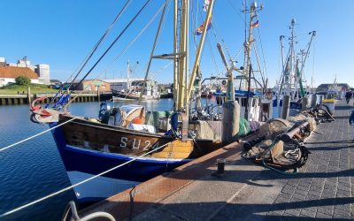 Kurztrip 5/22 | Westerland & Büsum